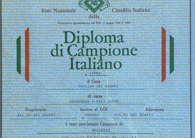 Il chihuahua - Diploma di Campione Italiano-1995
