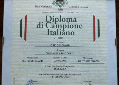 Il chihuahua - Diploma di Campione Italiano-2003